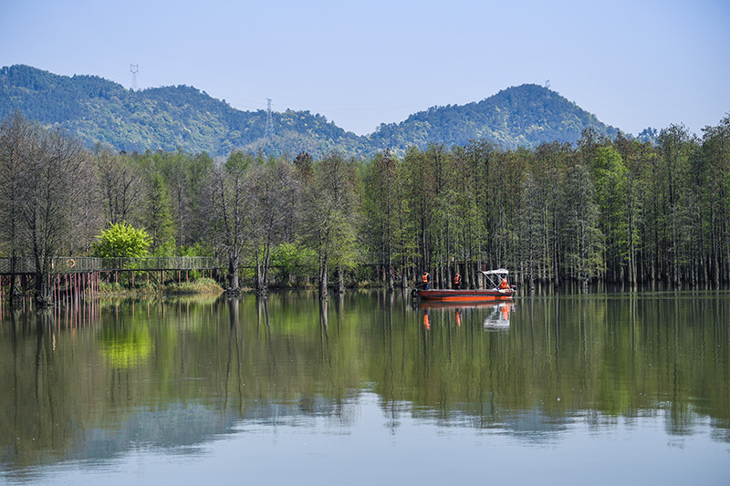 杭州临安：营造美丽水环境 打造生态好家园