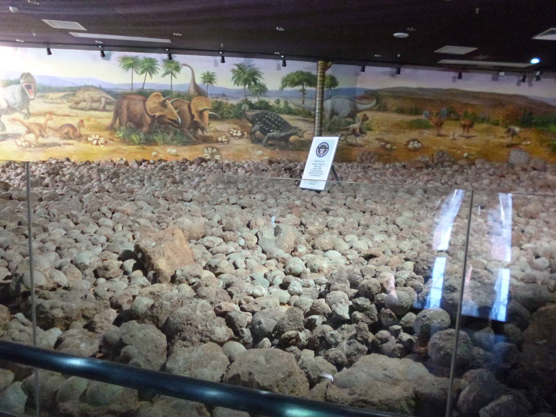 恐龙化石展馆