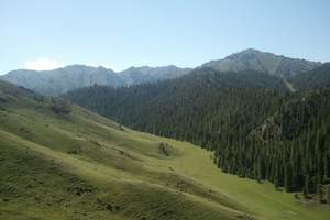 新疆--乌鲁木齐、天山天池、火洲吐鲁番、喀纳斯双飞8日游