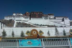八月到西藏旅游北京出发跟团多少钱_北京到西藏旅游全景卧飞十日