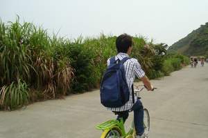 学校/公司/单位旅游 去到深圳万绿生态园野炊、单车开心一日游