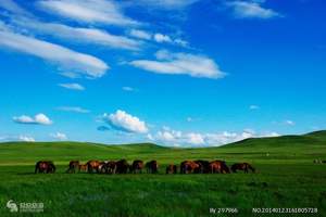 植树节旅游的地方，内蒙古、希拉穆仁草原、库不齐沙漠双飞4日游